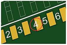 Silk Screen Over Pad